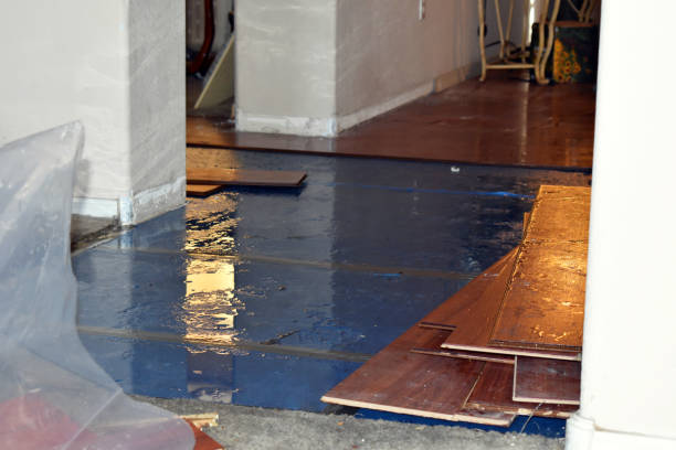 Professional Basement Flood Cleanup technician working in Mount Pleasant, IA